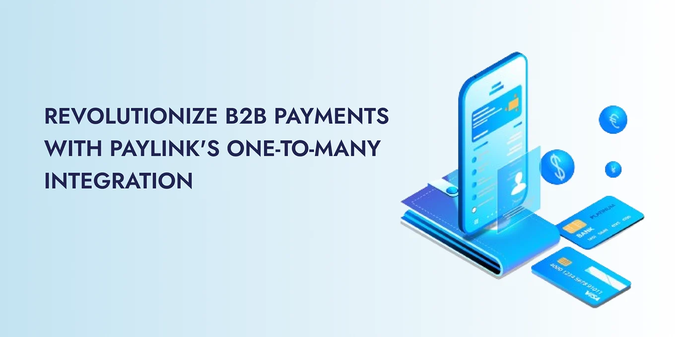 Revolutionize B2B Payments with PayLink's One-to-Many Integration